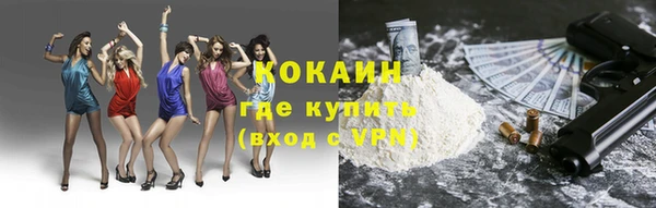бошки Новодвинск