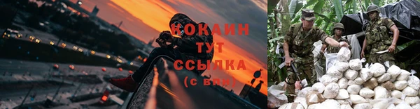 бошки Новодвинск