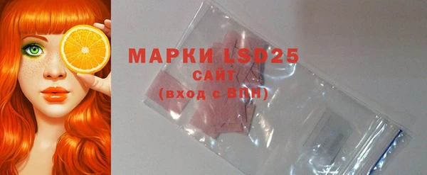 бошки Новодвинск