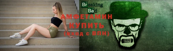 ешки Вяземский