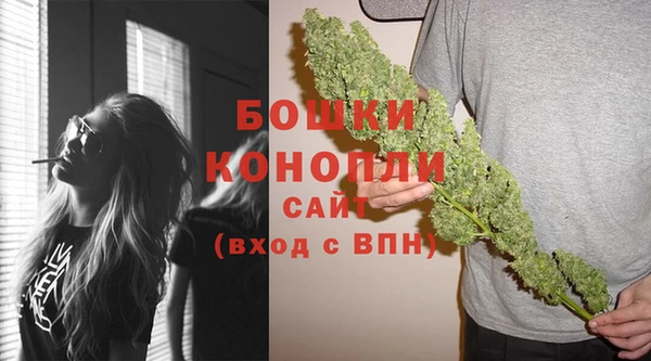 бошки Новодвинск
