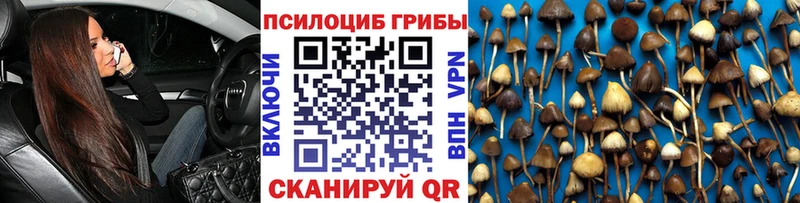 Псилоцибиновые грибы мухоморы  Сосновка 