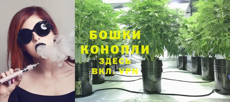 МАРИХУАНА LSD WEED  Сосновка 